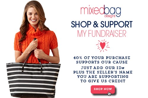 MixedBagDesignsFundraiserLogo