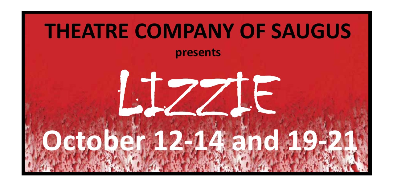 TCS Lizzie FB Banner